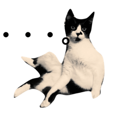 [LINEスタンプ] ぴのちゃんです