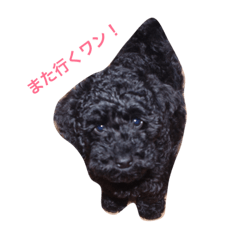 [LINEスタンプ] となりのカイくん