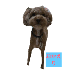 [LINEスタンプ] ゴディバ