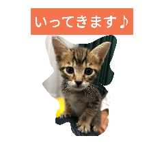 [LINEスタンプ] ドリルとフック