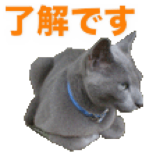 [LINEスタンプ] 大竿道の書庫