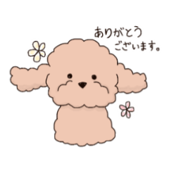 [LINEスタンプ] 程よくゆるい敬語プードル 【実用性◎】