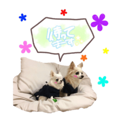 [LINEスタンプ] バニラとジュリエット2