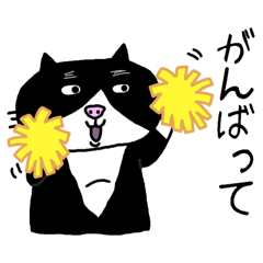 [LINEスタンプ] 靴下ネコのココ