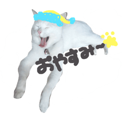 [LINEスタンプ] たまけち