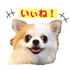 [LINEスタンプ] りんぴち2