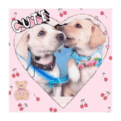 [LINEスタンプ] 私とわんことわんこ