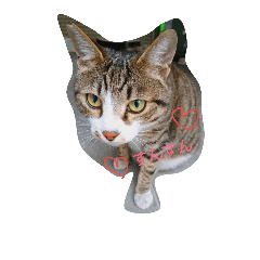 [LINEスタンプ] nya--tan