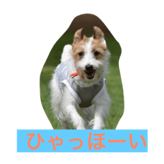 [LINEスタンプ] ポキナナロク