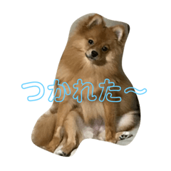 [LINEスタンプ] まろんの1日