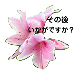 [LINEスタンプ] 感謝してます