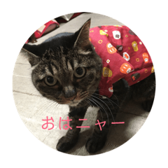 [LINEスタンプ] towako