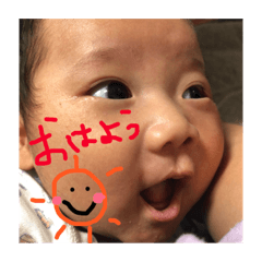 [LINEスタンプ] さらんぬ