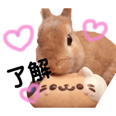 [LINEスタンプ] ぼくの名前はずんだ