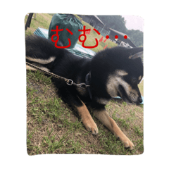 [LINEスタンプ] むさ君