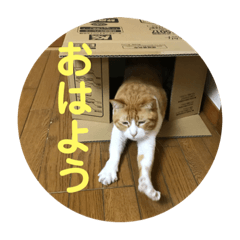 [LINEスタンプ] ミド先生