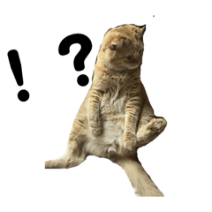 [LINEスタンプ] まんちかんのレオくんです