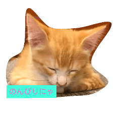 [LINEスタンプ] 子猫のラテ君