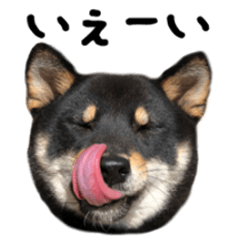 [LINEスタンプ] 三郎すたんぷ