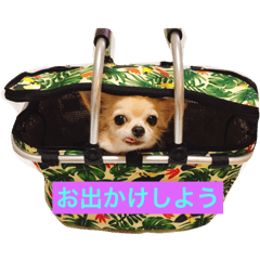 [LINEスタンプ] すずと仲間たち