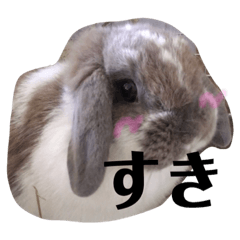 [LINEスタンプ] うさぎの円とポム