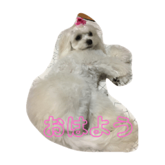 [LINEスタンプ] ママの可愛いエマちゃん❤️