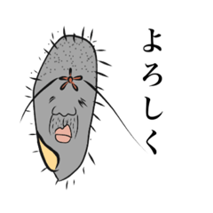 [LINEスタンプ] 使える！ぞうりむしスタンプ