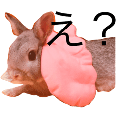 [LINEスタンプ] えるめスタンプ
