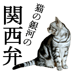 [LINEスタンプ] 猫の銀河の関西弁