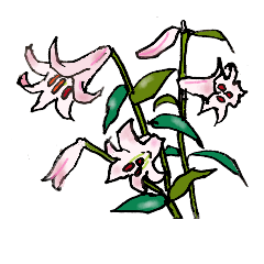 [LINEスタンプ] 高山植物の花で癒してねの画像（メイン）