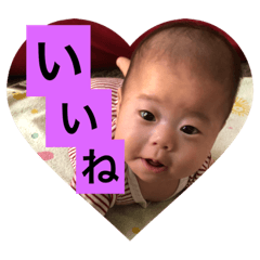 [LINEスタンプ] 陽菜ちゃんの日常