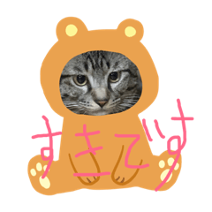 [LINEスタンプ] ネコ盛りだくさん