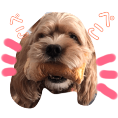 [LINEスタンプ] ぷりんの日常会話