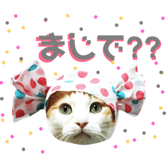 [LINEスタンプ] ていばんシリーズ