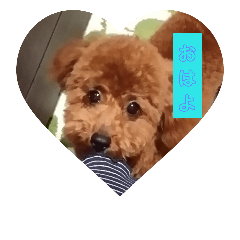 [LINEスタンプ] 久和家