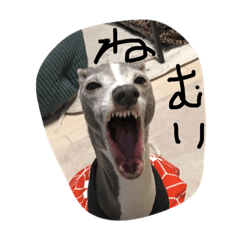 [LINEスタンプ] ノア＆テル