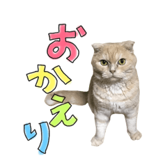 [LINEスタンプ] ねこ 挨拶