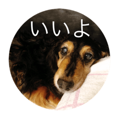 [LINEスタンプ] ばるとまめ
