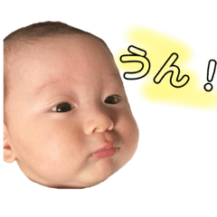 [LINEスタンプ] ちびすけがたくさん