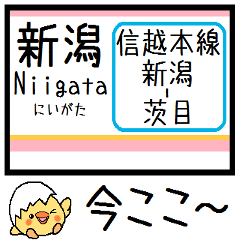 [LINEスタンプ] 信越本線(新潟-茨目) 気軽に今この駅だよ！