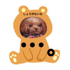 [LINEスタンプ] シェリ第2弾