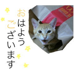 [LINEスタンプ] すーぷーのまいにち