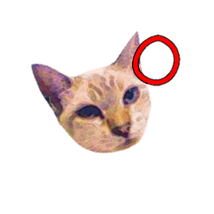 [LINEスタンプ] Aさんちの猫スタンプ(2)の画像（メイン）