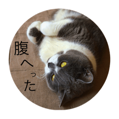 [LINEスタンプ] 銀さん.1