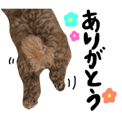 [LINEスタンプ] がんもすたんぷ