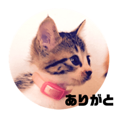 [LINEスタンプ] ベビー福