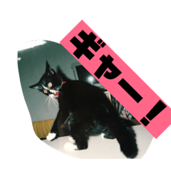 [LINEスタンプ] みう2