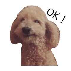 [LINEスタンプ] いろいろなシュシュ