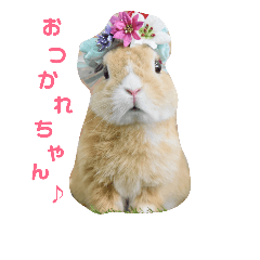 [LINEスタンプ] 豆助とみずき