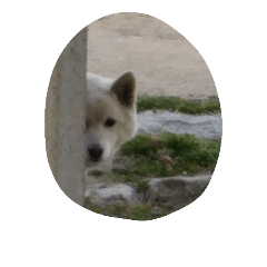 [LINEスタンプ] しろいぬのはな